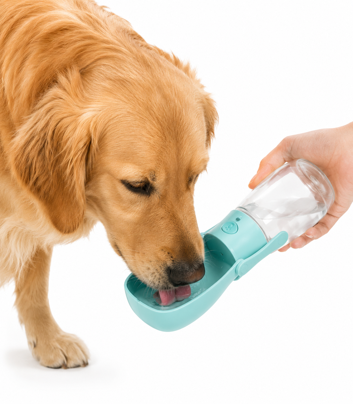 Portable Pet Water Bottle