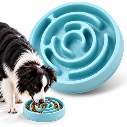Slow Feeder Dog Bowl – Anti-Gulping Pet Bowl