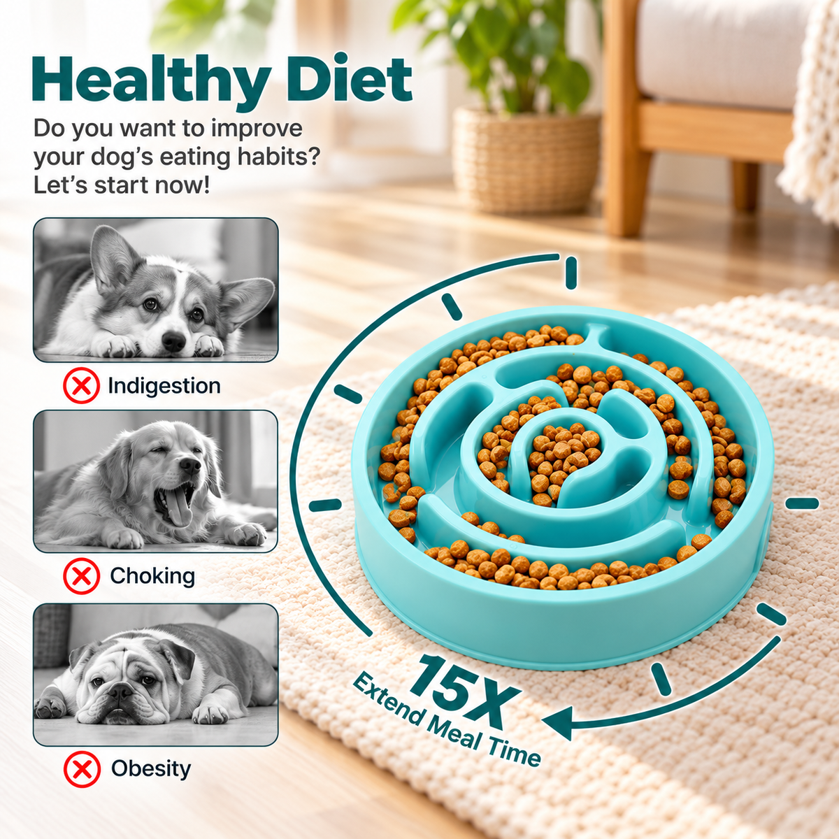 Slow Feeder Dog Bowl – Anti-Gulping Pet Bowl