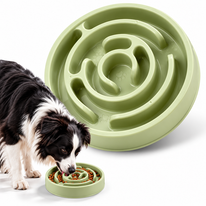 Slow Feeder Dog Bowl – Anti-Gulping Pet Bowl