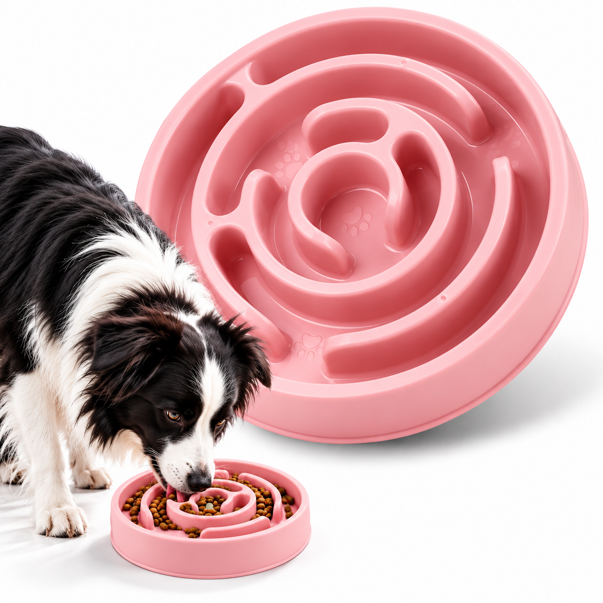 Slow Feeder Dog Bowl – Anti-Gulping Pet Bowl