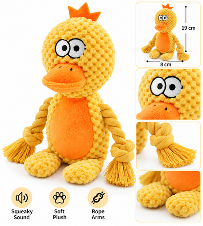Squeaky Plush Dog Toy